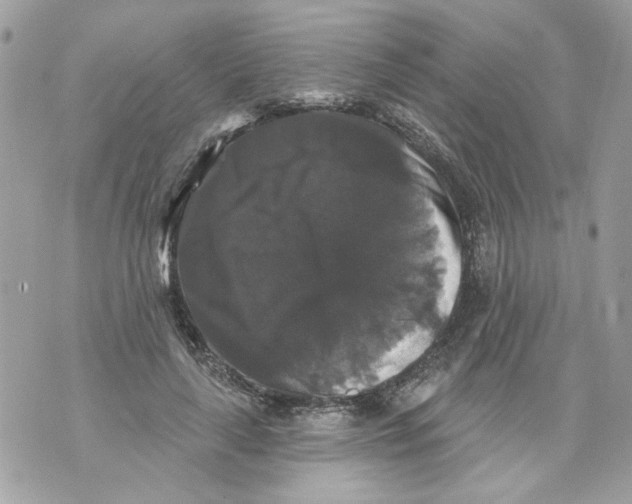 X0000070400643200607072245