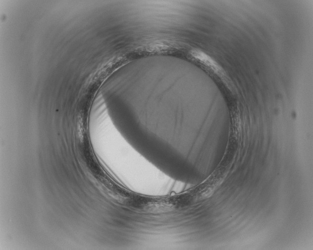 X0000070400644200607072245