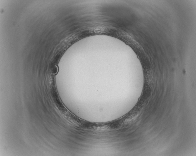 X0000070400645200607072245