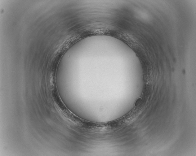 X0000070400646200607072245