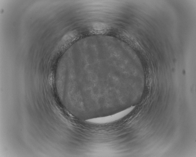 X0000070400647200607072245