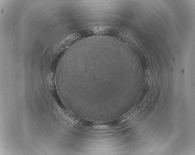 X0000070400650200607072245