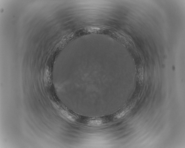 X0000070400653200607072245