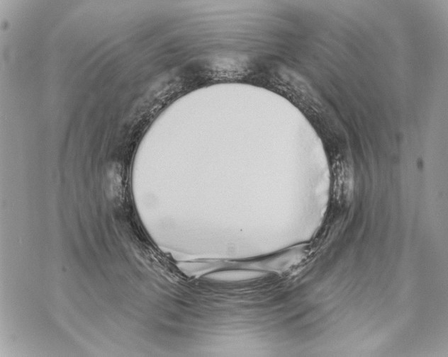 X0000070400655200607072245