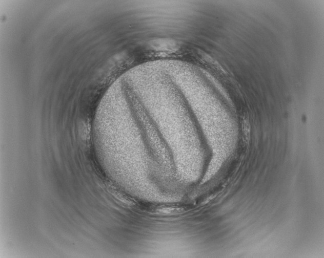 X0000070400657200607072245