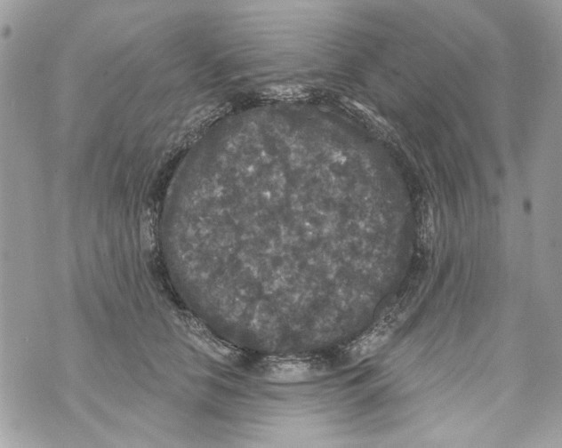 X0000070400658200607072245