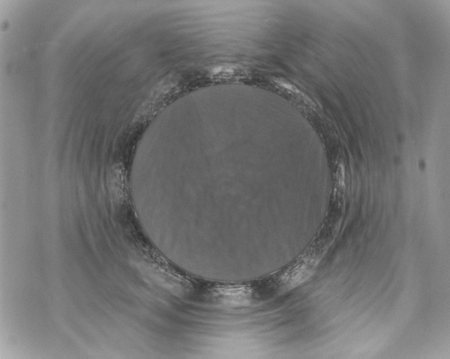 X0000070400659200607072245