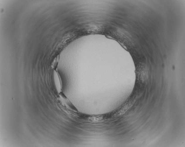 X0000070400660200607072245