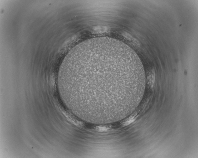 X0000070400662200607072245