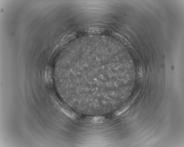 X0000070400663200607072245