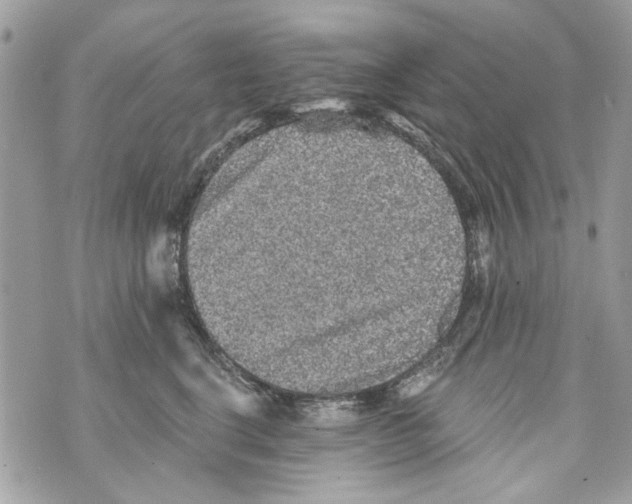 X0000070400664200607072245