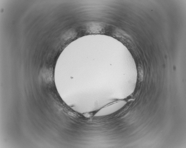 X0000070400665200607072245