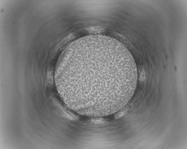 X0000070400666200607072245