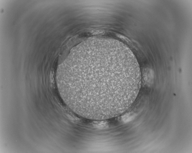 X0000070400667200607072245