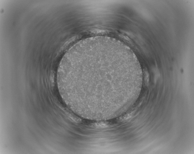 X0000070400668200607072245