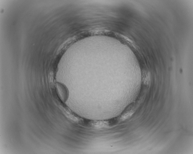 X0000070400670200607072245