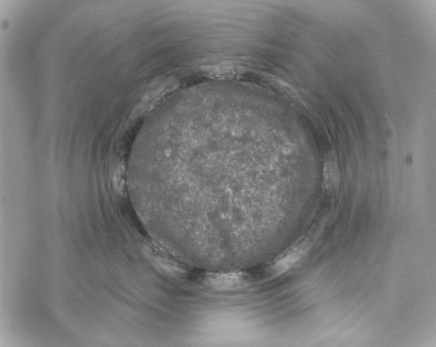 X0000070400671200607072245