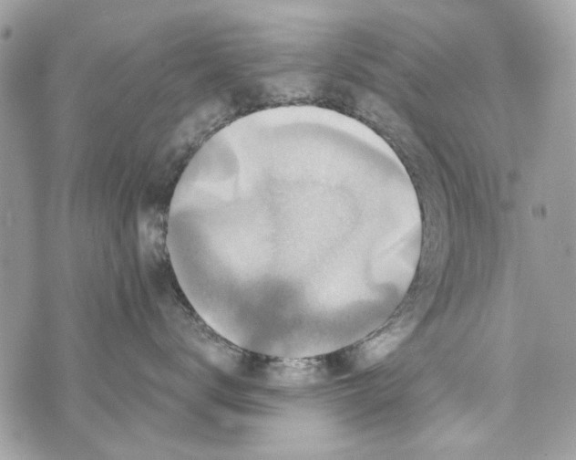 X0000070400672200607072245