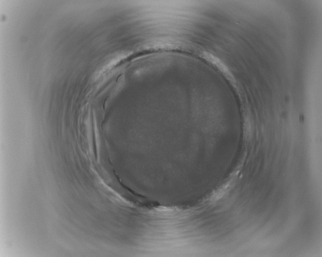 X0000070400673200607072245