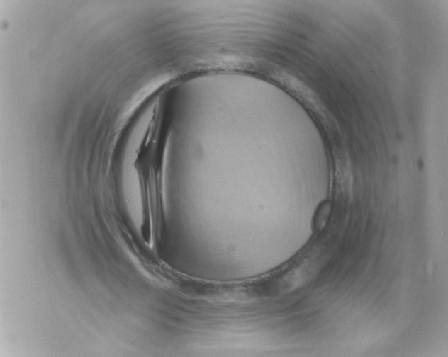 X0000070400674200607072245