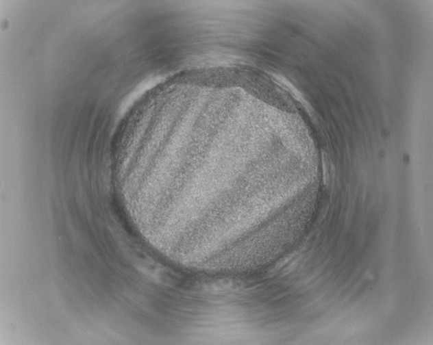 X0000070400675200607072245