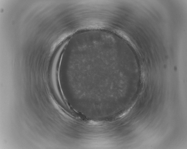 X0000070400677200607072245