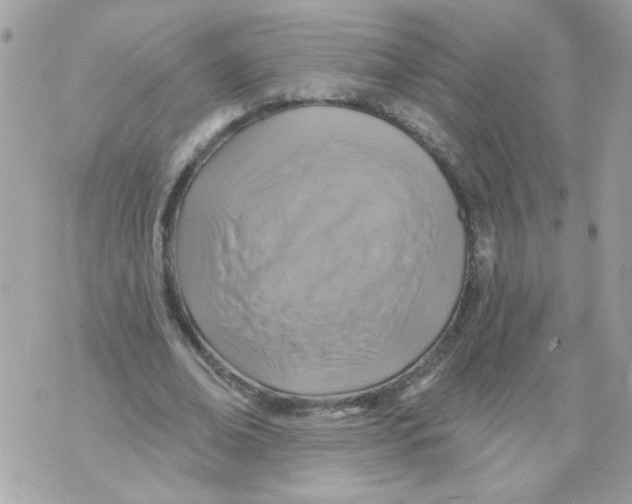 X0000070400678200607072245