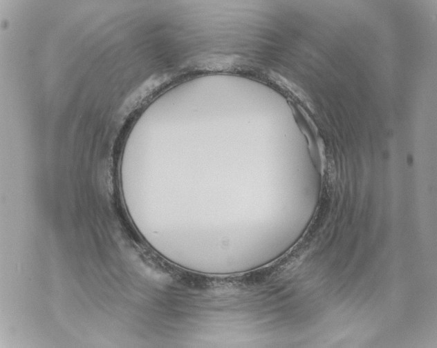 X0000070400682200607072245