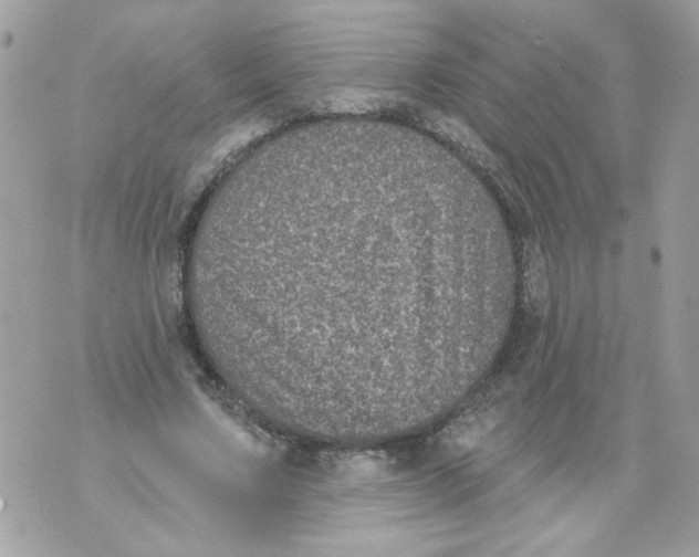 X0000070400683200607072245