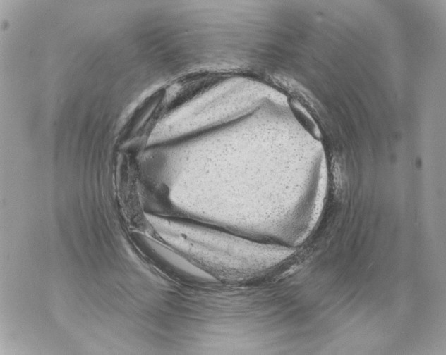 X0000070400684200607072245