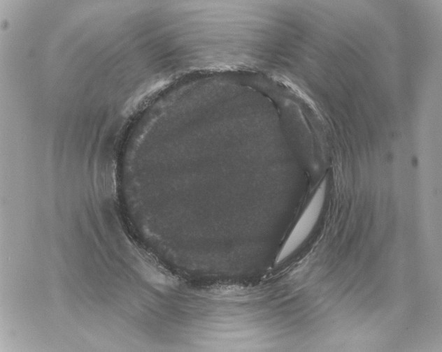 X0000070400685200607072244