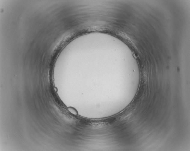 X0000070400686200607072244