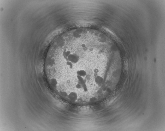 X0000070400687200607072244