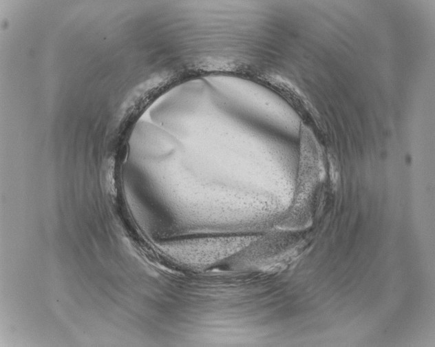 X0000070400688200607072244