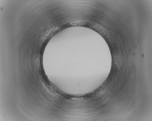 X0000070400690200607072244