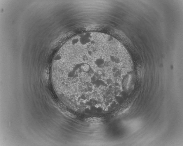 X0000070400691200607072244