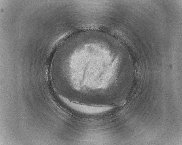 X0000070400692200607072244