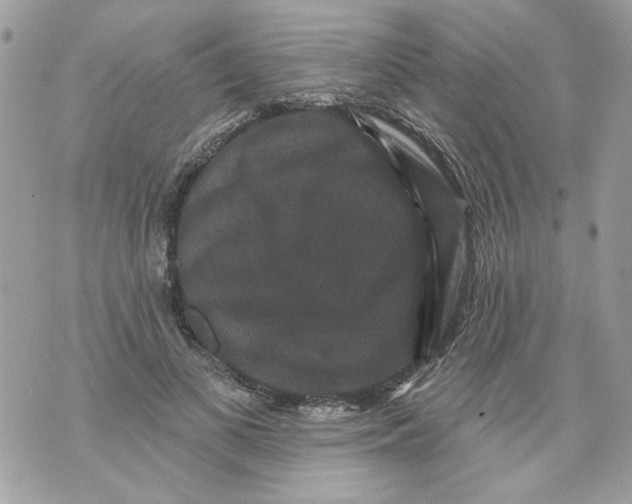 X0000070400693200607072244