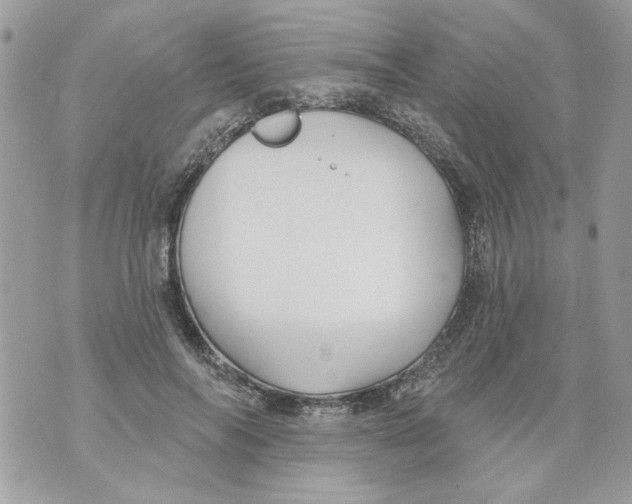 X0000070400694200607072244