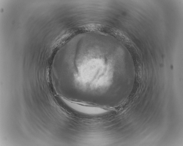 X0000070400696200607072244