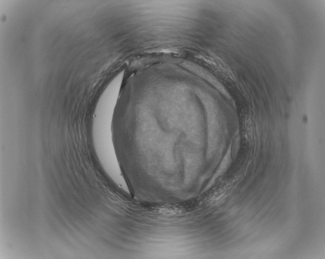 X0000070400697200607072244