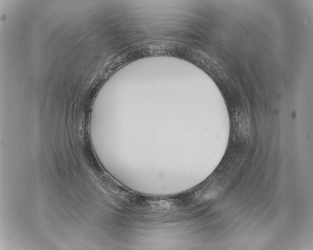 X0000070400698200607072244