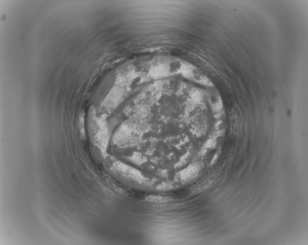 X0000070400699200607072244