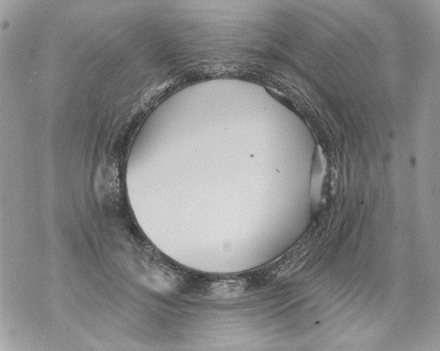 X0000070400700200607072244