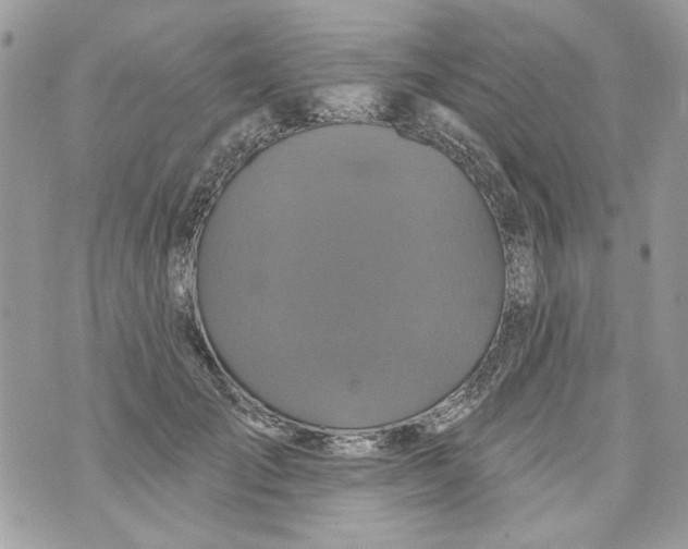 X0000070400701200607072244