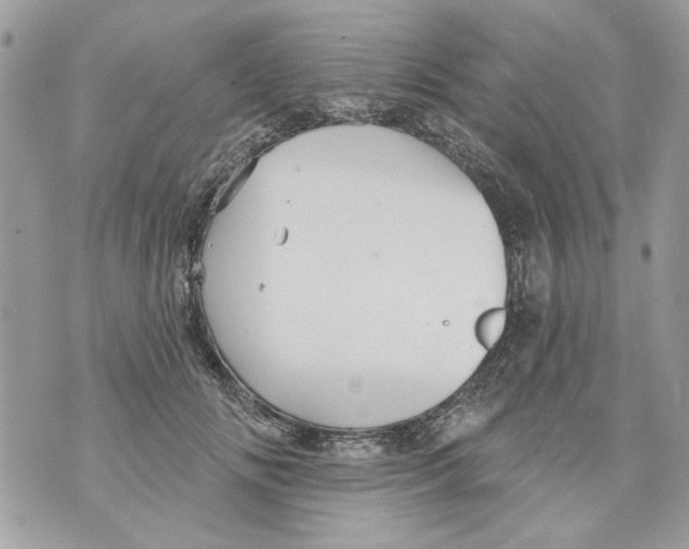 X0000070400702200607072244