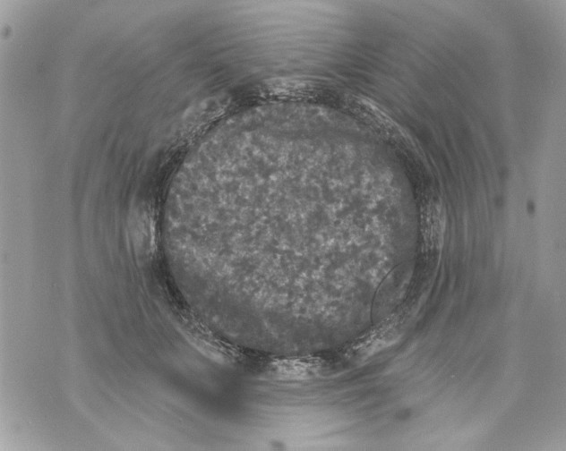 X0000070400703200607072244