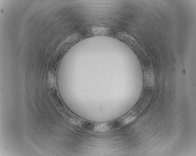 X0000070400705200607072244