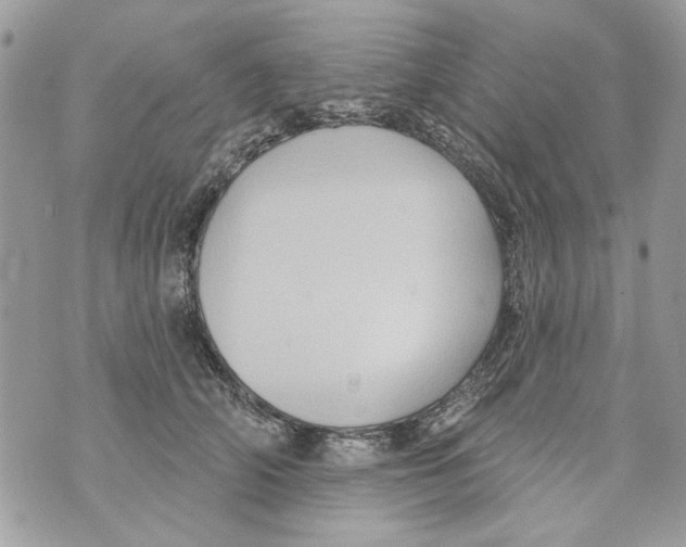 X0000070400706200607072244