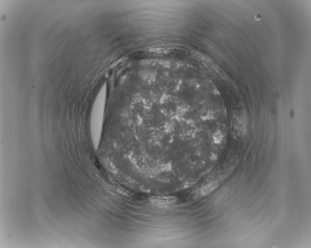 X0000070400707200607072244